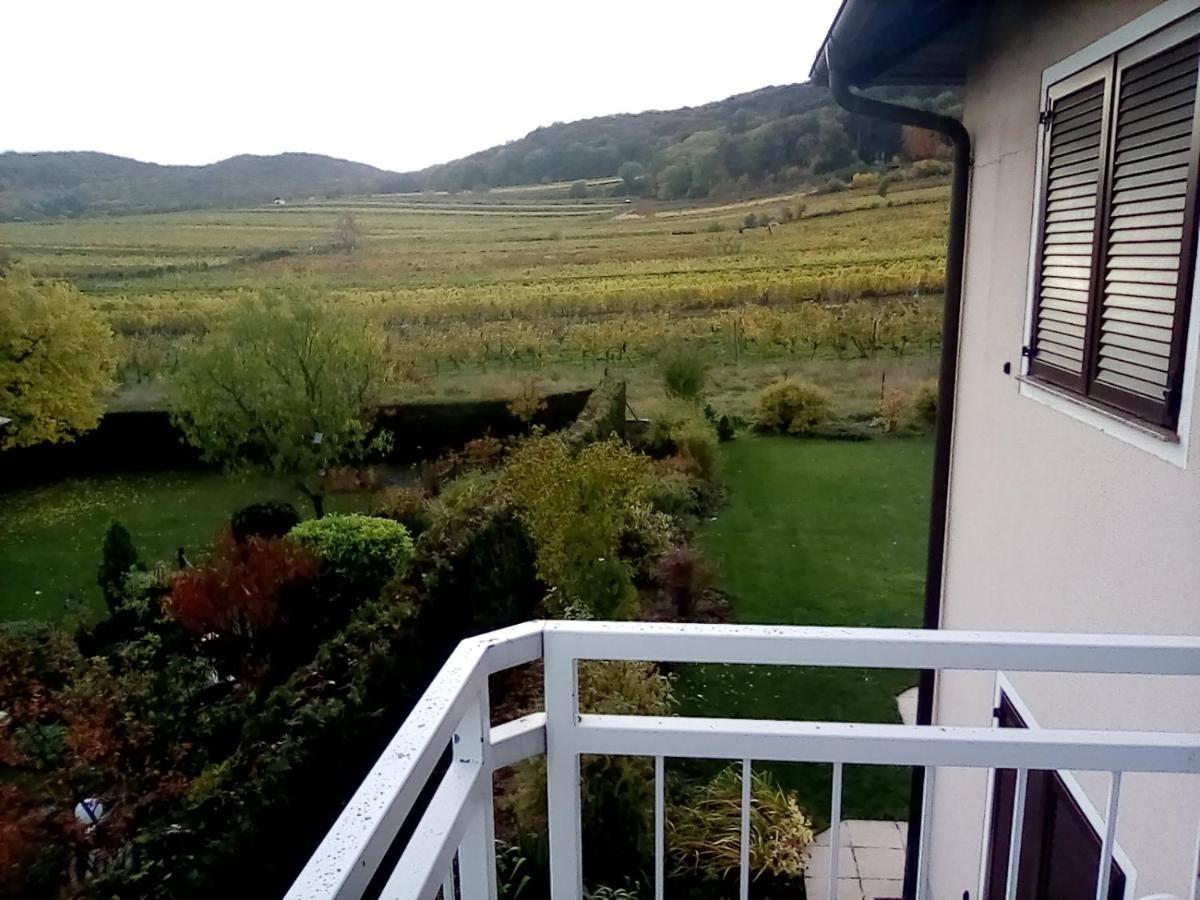 Top Over Vienna, Perchtoldsdorf Weinberge Ideal With Car Apartment ภายนอก รูปภาพ