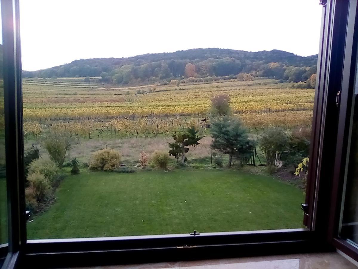 Top Over Vienna, Perchtoldsdorf Weinberge Ideal With Car Apartment ภายนอก รูปภาพ