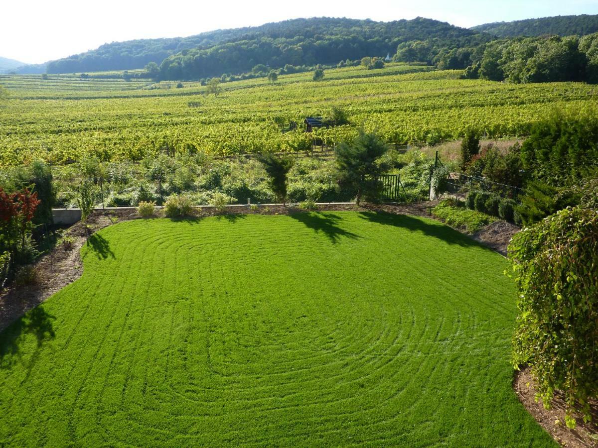 Top Over Vienna, Perchtoldsdorf Weinberge Ideal With Car Apartment ภายนอก รูปภาพ