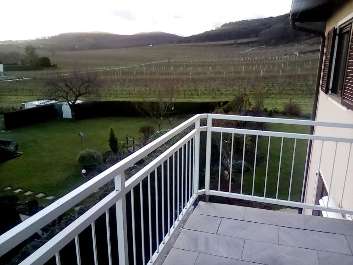 Top Over Vienna, Perchtoldsdorf Weinberge Ideal With Car Apartment ภายนอก รูปภาพ